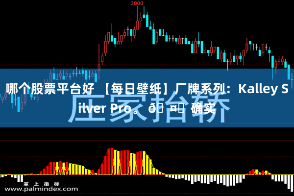 哪个股票平台好 【每日壁纸】厂牌系列：Kalley Silver Pro。 🤔确实