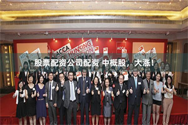 股票配资公司配资 中概股，大涨！