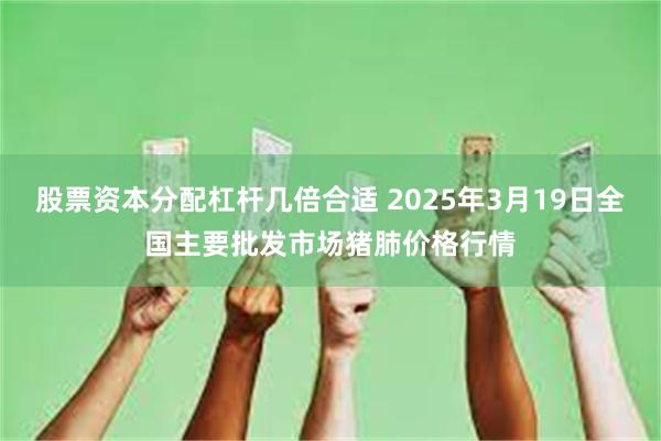 股票资本分配杠杆几倍合适 2025年3月19日全国主要批发市场猪肺价格行情