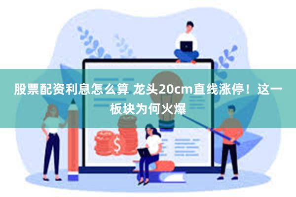 股票配资利息怎么算 龙头20cm直线涨停！这一板块为何火爆