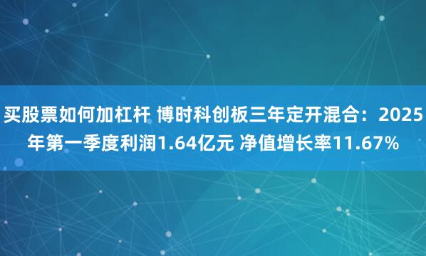 买股票如何加杠杆 博时科创板三年定开混合：2025年第一季度利润1.64亿元 净值增长率11.67%