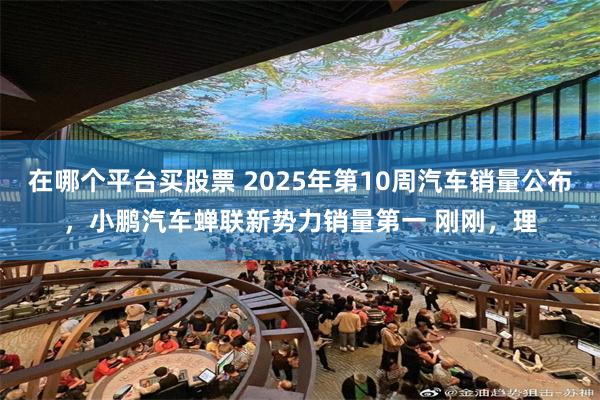 在哪个平台买股票 2025年第10周汽车销量公布，小鹏汽车蝉联新势力销量第一 刚刚，理