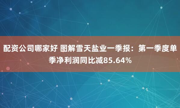 配资公司哪家好 图解雪天盐业一季报：第一季度单季净利润同比减85.64%