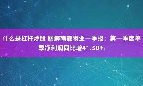 什么是杠杆炒股 图解南都物业一季报：第一季度单季净利润同比增41.58%