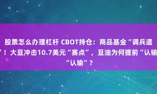 股票怎么办理杠杆 CBOT持仓：商品基金“调兵遣将”！大豆冲击10.7美元“赛点”，豆油为何提前“认输”？