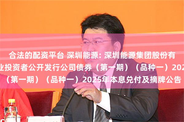合法的配资平台 深圳能源: 深圳能源集团股份有限公司2022年面向专业投资者公开发行公司债券（第一期）（品种一）2025年本息兑付及摘牌公告