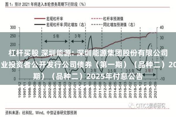 杠杆买股 深圳能源: 深圳能源集团股份有限公司2022年面向专业投资者公开发行公司债券（第一期）（品种二）2025年付息公告