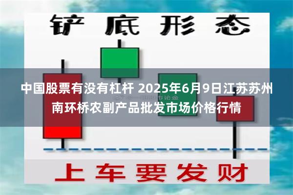 中国股票有没有杠杆 2025年6月9日江苏苏州南环桥农副产品批发市场价格行情