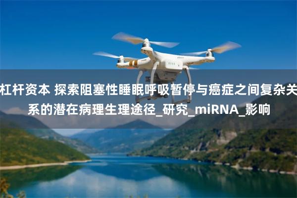 杠杆资本 探索阻塞性睡眠呼吸暂停与癌症之间复杂关系的潜在病理生理途径_研究_miRNA_影响